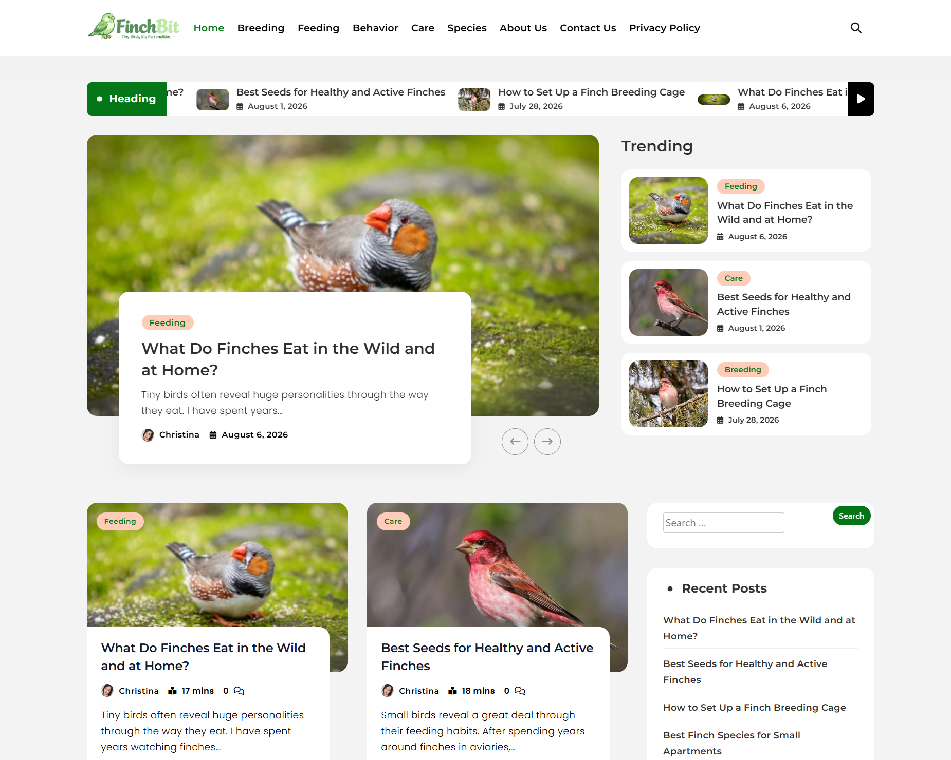 FinchBit website